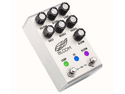 JacksonAudio_Bloom.jpg