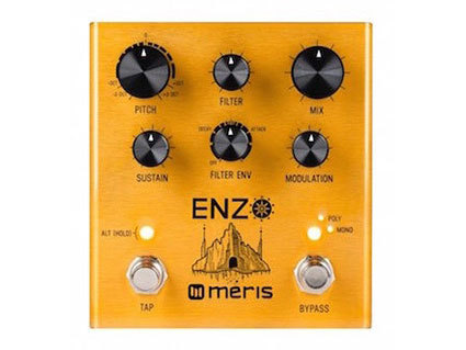 Meris_Enzo.jpg